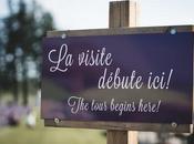 Maison Lavande coup coeur l'été!!