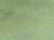 Lecture Harrison Marquette Veracruz