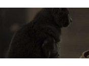 Romanoffs créateur engage Isabelle Huppert