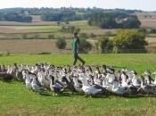 Autres adresses indispensables d’Alain Dutournier