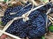 Divers faire attention