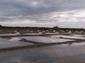 L’Île Noirmoutier, entre