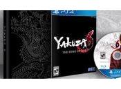 Yakuza Song Life, daté occident pour 2018