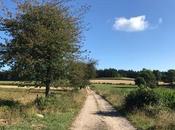 marche dans Forez colère