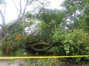 Pays étranger Montréal sous tempête