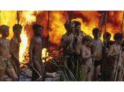 version féminine Majesté Mouches cours d’écriture