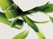 Bien-Être nouvelles activités pour rentrée