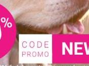Croquetteland codes promo pour animaux