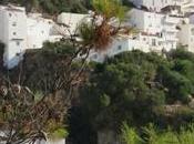 Découverte l'Andalousie