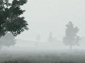 Aperçu images brouillard dans PUBG
