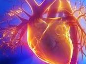 RISQUE CARDIAQUE l'ADN poubelle contre cholestérol