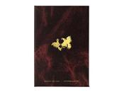 Antoine d’agata codex, mexico 1986-2016