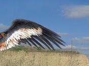 Découverte d'un condor préhistorique Province Buenos Aires [Actu]
