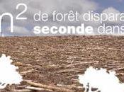 Climat affirmations fallacieuses parti Marche