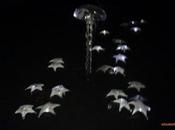 poissons grandes profondeurs pied Yves Chaudouët