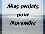projets pour novembre