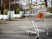 différents types consommateurs français