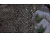 [Sortie DVD] Flingueur film (pas) sensible