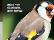 guide oiseaux France