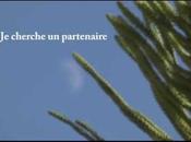 cherche partenaire