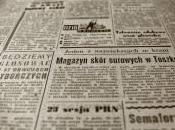 marronnier pour ours