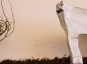 Johnny Flynn suis intéressé musique authentique