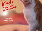 J’ai documentaire Kedi chats hommes Ceyda Torun