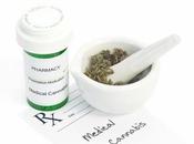 CANNABIS n’est solution dépendance opioïdes