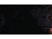 [Test] Planète Singes Last Frontier, players