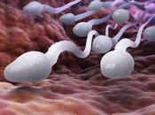 DIAGNOSTIC ANTÉNATAL: L’ARN sperme père prédit santé futurs enfants