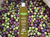 Huile d'olive Emile Noël lance premier issu oliveraie familiale Andalousie