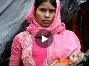 Partage veux sauver Rohigya