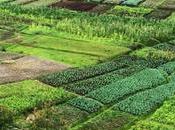 Burundi maraîchage pour améliorer conditions détention