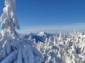 Joyeux Noël belles fêtes