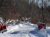 bénévoles bonheur...