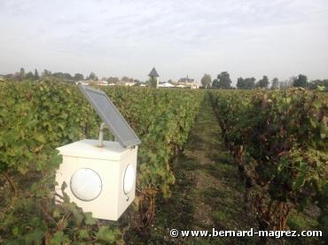 Quand la musique remplace les pesticides