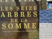 seize arbres Somme