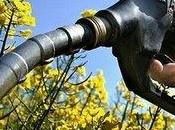 biocarburants responsables crise alimentaire selon Banque Mondiale
