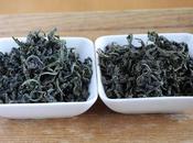 Deux wulong Morokozawa, cultivar Kanaya-midori avec sans torréfaction