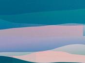 illustrations neo-géométrique Noémie Cédille