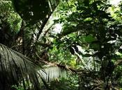 Chez amis février 2018