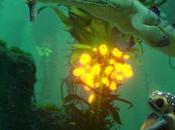 [Test] Subnautica, survie sortant sentiers battus
