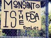 Monsanto glyphosate bataille crédibilité scientifique