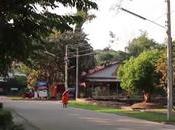 Phitsanulok, ordinations l'or contre coupe d'arbres centenaires (vidéo)