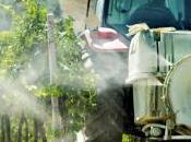 Médoc alerte contamination maisons écoles pesticides