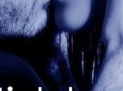 avis l'excellente saison d'Hidden Desire d'Angel Arekin