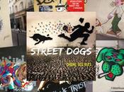 Street Dogs Chiens Claude Degoutte