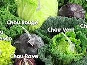 choux (brocolis, chou rouge, fleur, kale,Etc...)