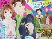 chapitres spéciaux pour mangas Hana Yori Dango Parfait