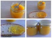 Confiture mangue Vanille thermomix sans